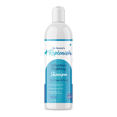 Infection Fighting Shampoo (Wholesale - 12 Units)
